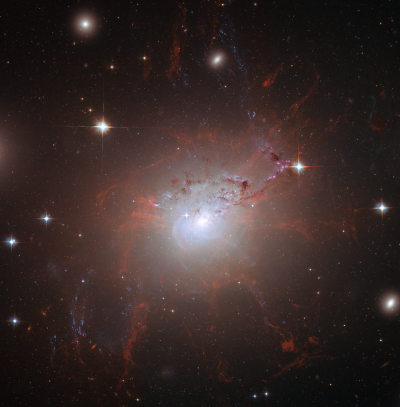 Filament system around NGC 1275
