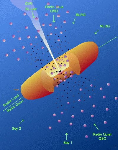 AGN schematic