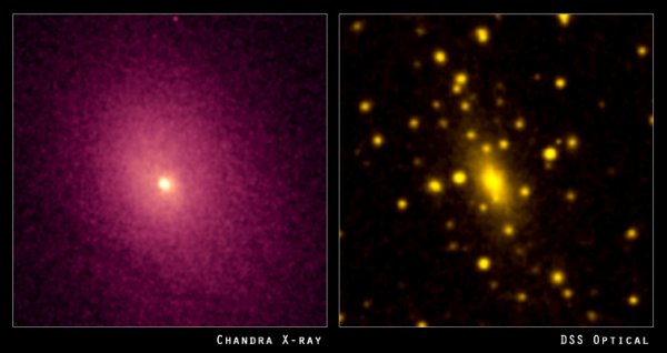 Abell 2029 Cluster - X-ray
and optical